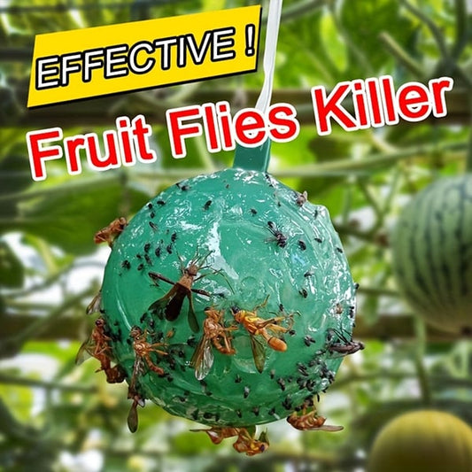 Last Day - Hanging Environmental Fruit Fly Traps Sticky Traps